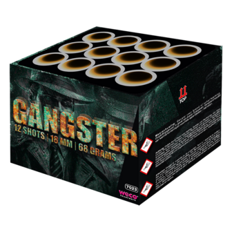 Ganster